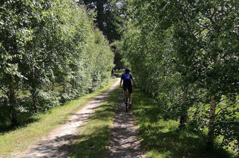 A Place To Stay In Weldborough - QLD Tourism 7